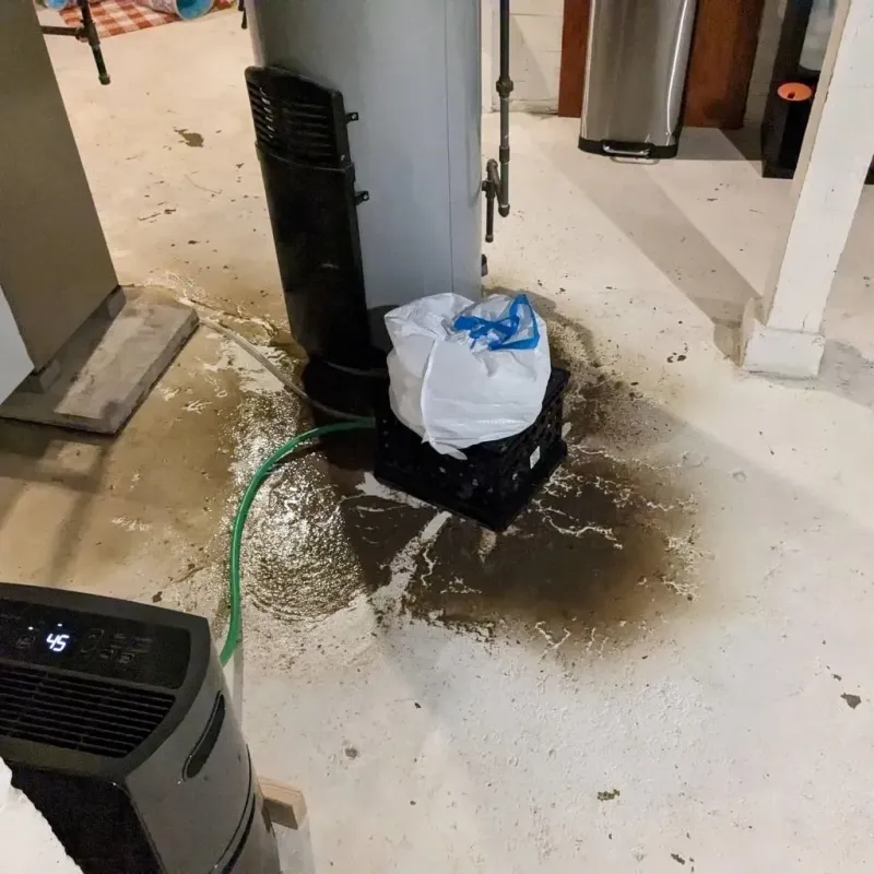 Sewage Backup Cleanup Service in Millen, GA